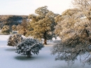 Winter view over Pleasure Ground